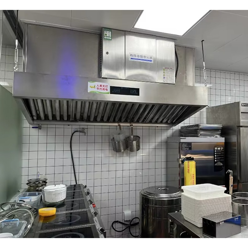 Customized Built in Electrosta - Commercial Kitchen Exhaust Hood ulasan dan harga