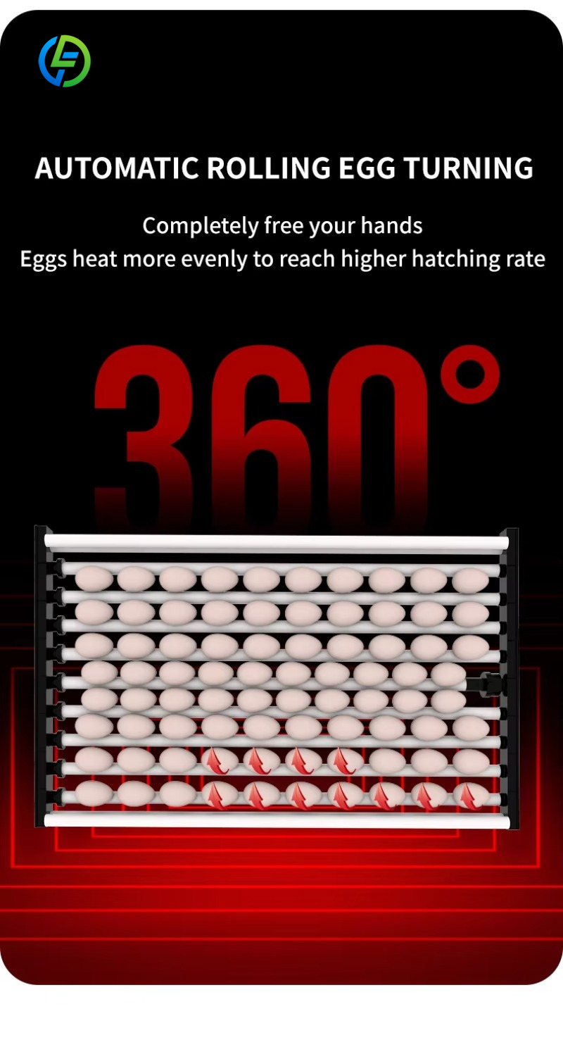 New Quail Chicken Incubator 50 - Rotary Bakery Oven ulasan dan harga