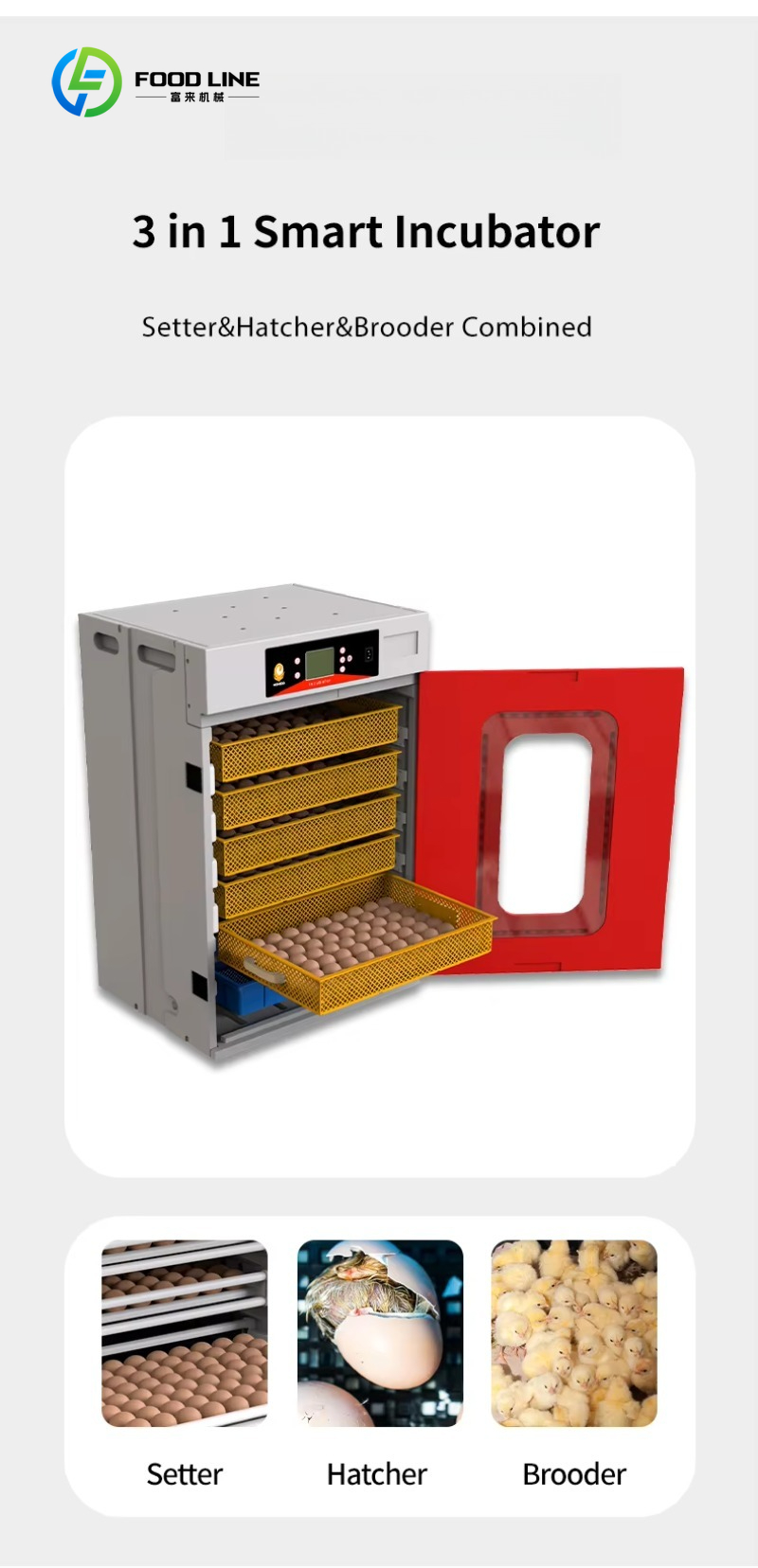 New Quail Chicken Incubator 50 - Rotary Bakery Oven ulasan dan harga