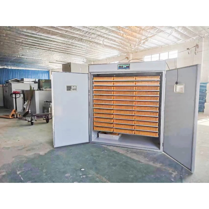 Custom 1056 Poultry Hatcher Ma - Rotary Bakery Oven ulasan dan harga
