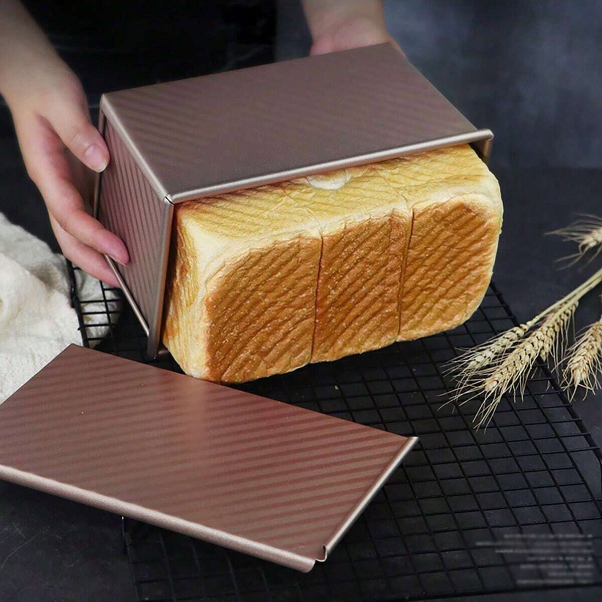 1pc Golden  Loaf Pan with Lid  - Rotary Bakery Oven ulasan dan harga